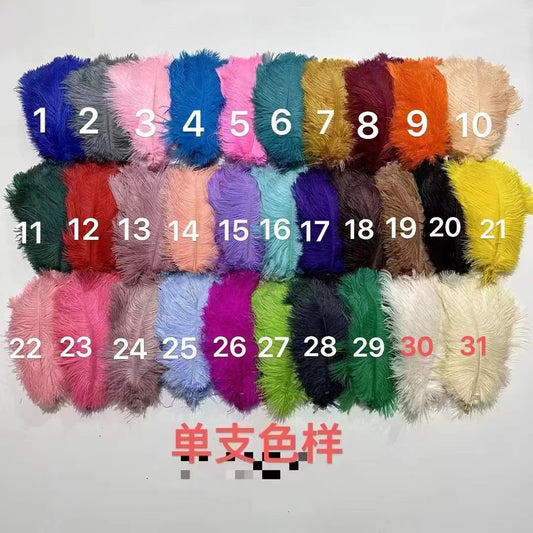 14 - 16 Inches Long Ostrich Feathers(10 pcs)
