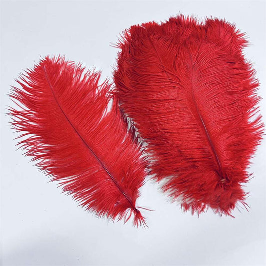 8 - 14 Inches Long Ostrich Feathers