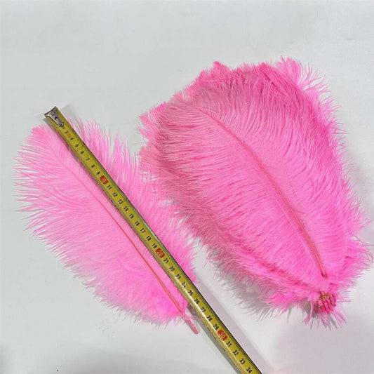 14 - 18 Inches Long Ostrich Feathers