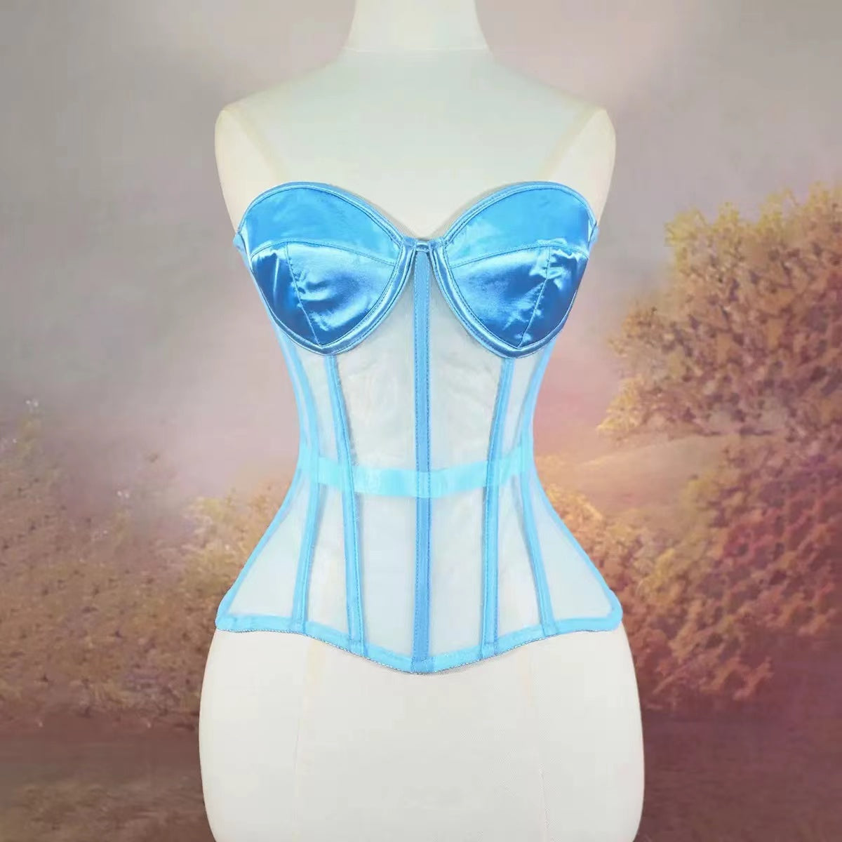 Bustier Bra Mesh Overbust Corset V2