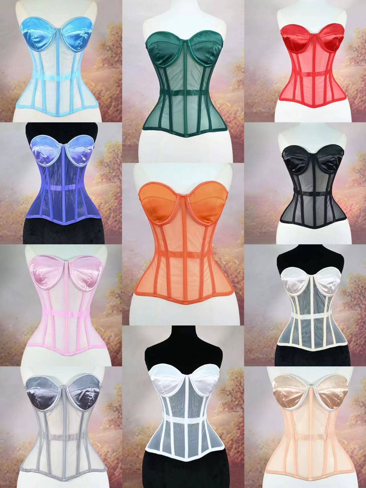 Bustier Bra Mesh Overbust Corset V2