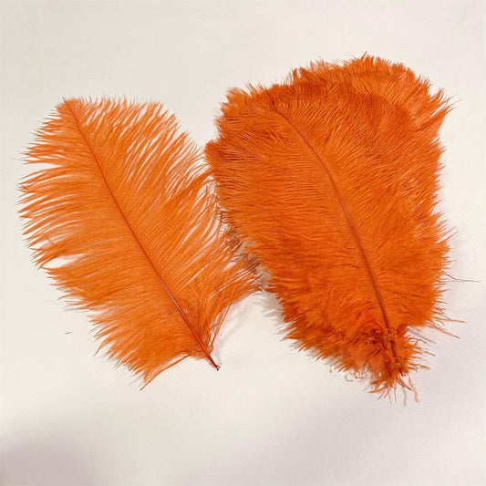 8 - 14 Inches Long Ostrich Feathers
