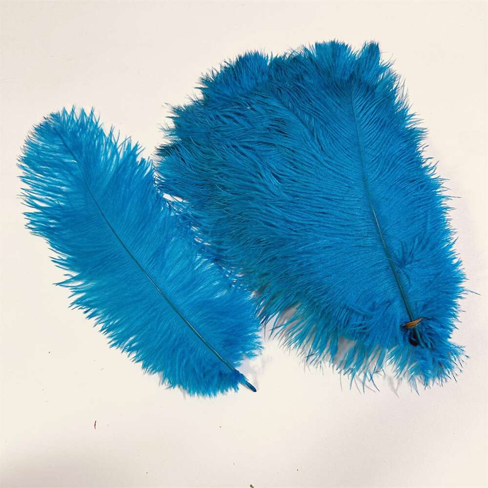 14 - 18 Inches Long Ostrich Feathers