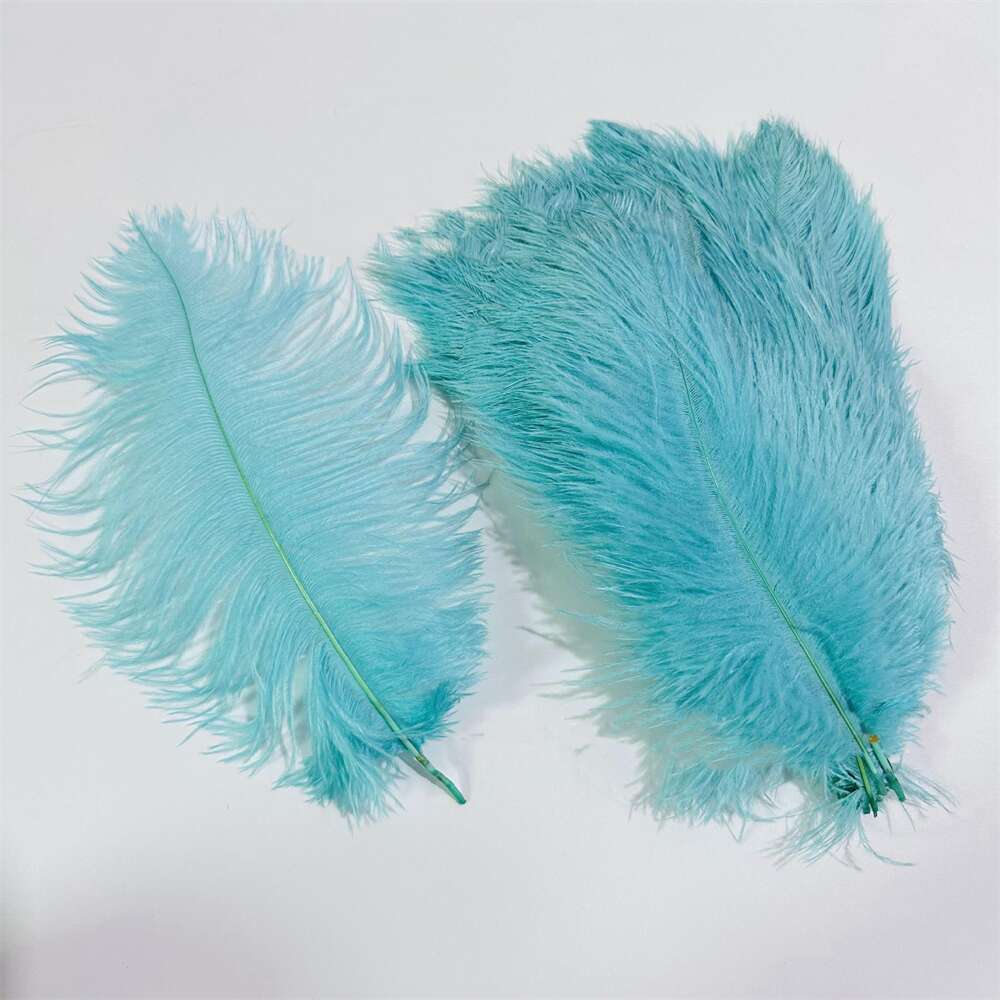 14 - 18 Inches Long Ostrich Feathers